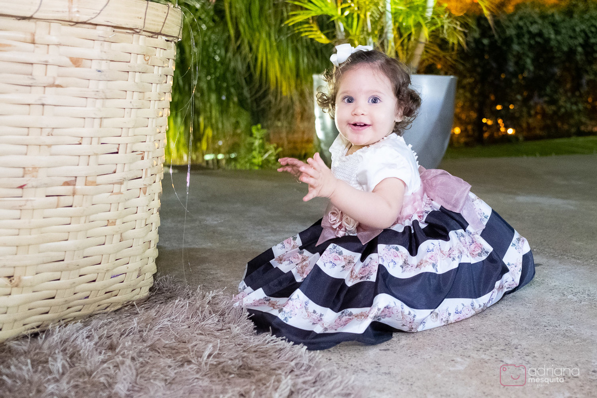 aniversário infantil helena catalão 1 aninho festa de luxo