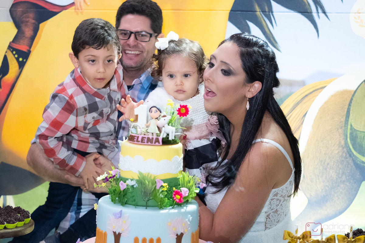 aniversário infantil helena catalão 1 aninho festa de luxo