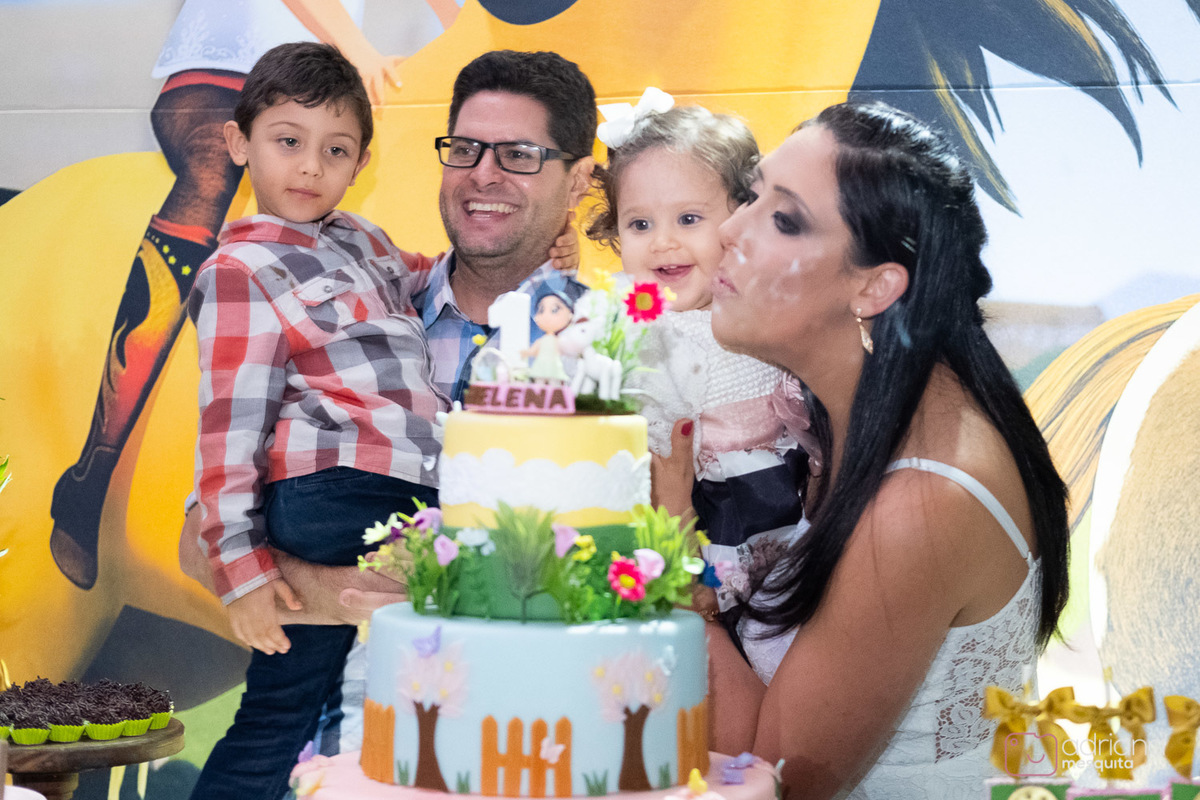 aniversário infantil helena catalão 1 aninho festa de luxo