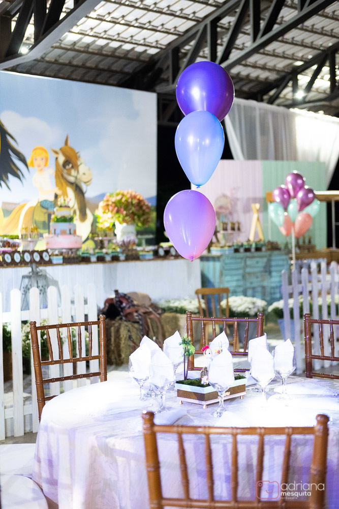 aniversário infantil helena catalão 1 aninho festa de luxo