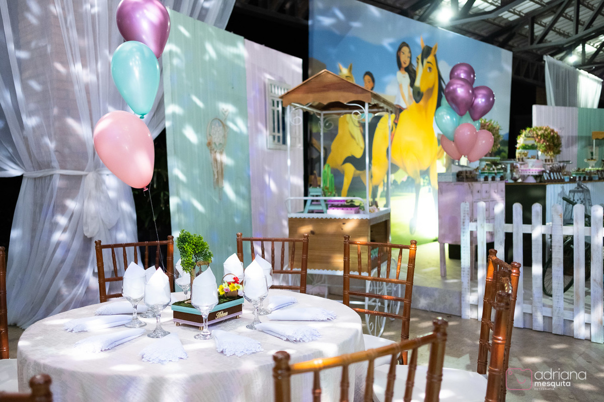 aniversário infantil helena catalão 1 aninho festa de luxo