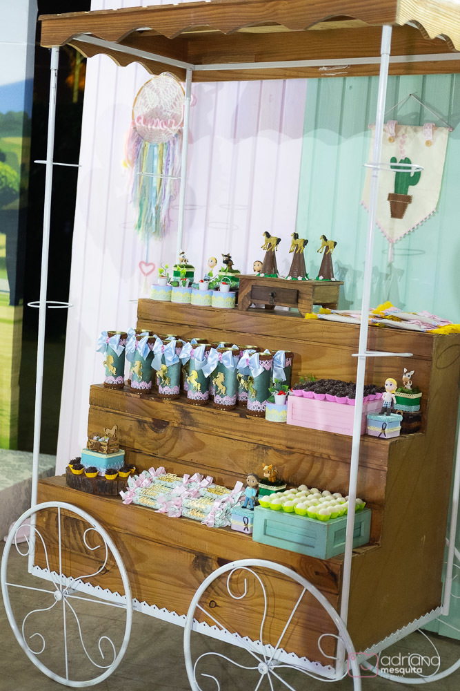 aniversário infantil helena catalão 1 aninho festa de luxo