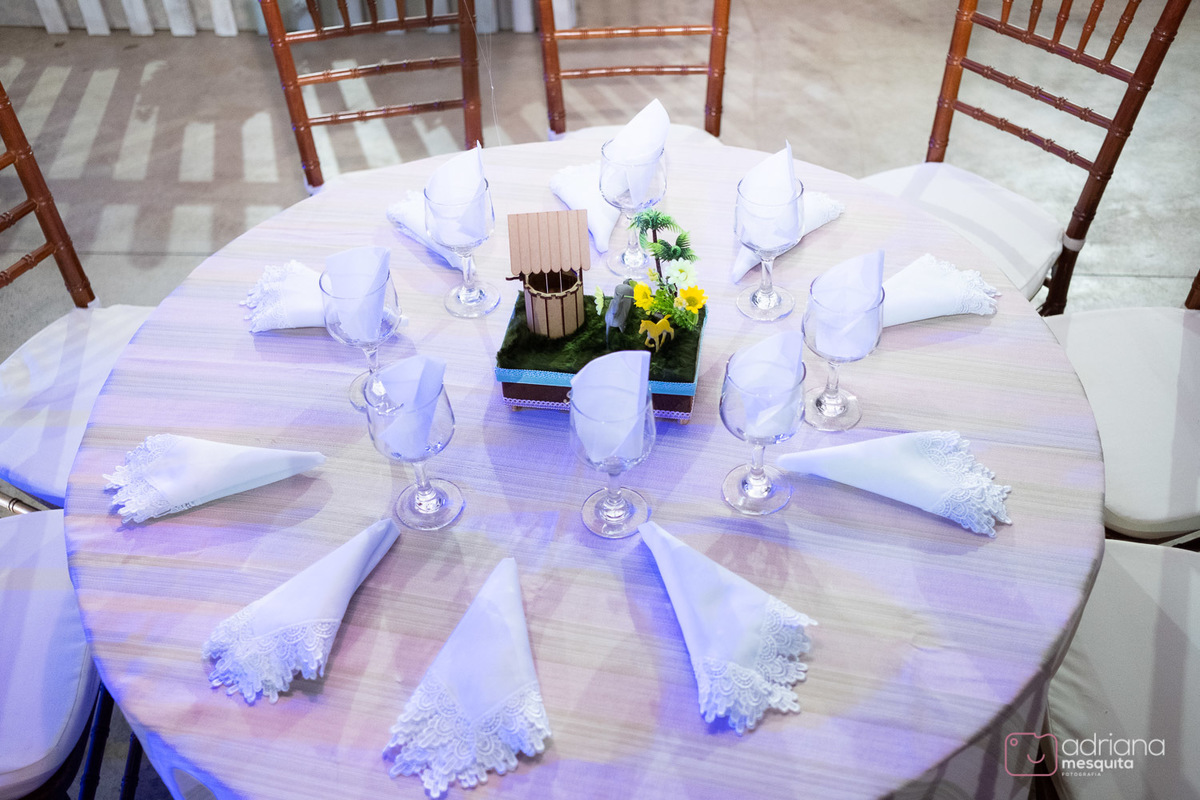 aniversário infantil helena catalão 1 aninho festa de luxo