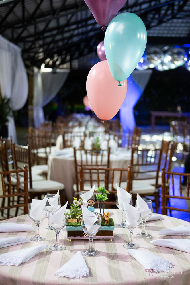 aniversário infantil helena catalão 1 aninho festa de luxo