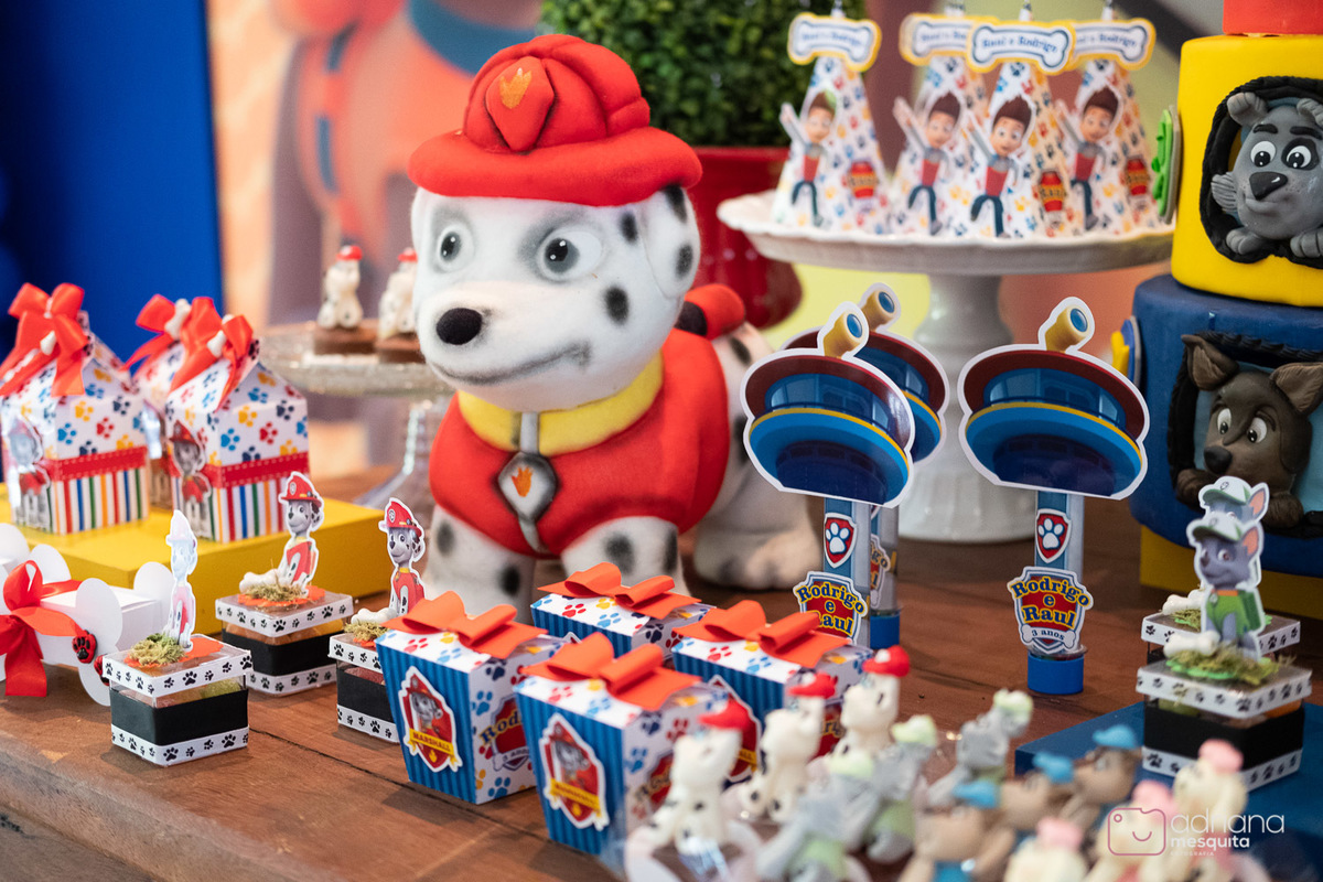 aniversário infantil bala e balão raul e rodrigo patrulha canina adriana mesquita