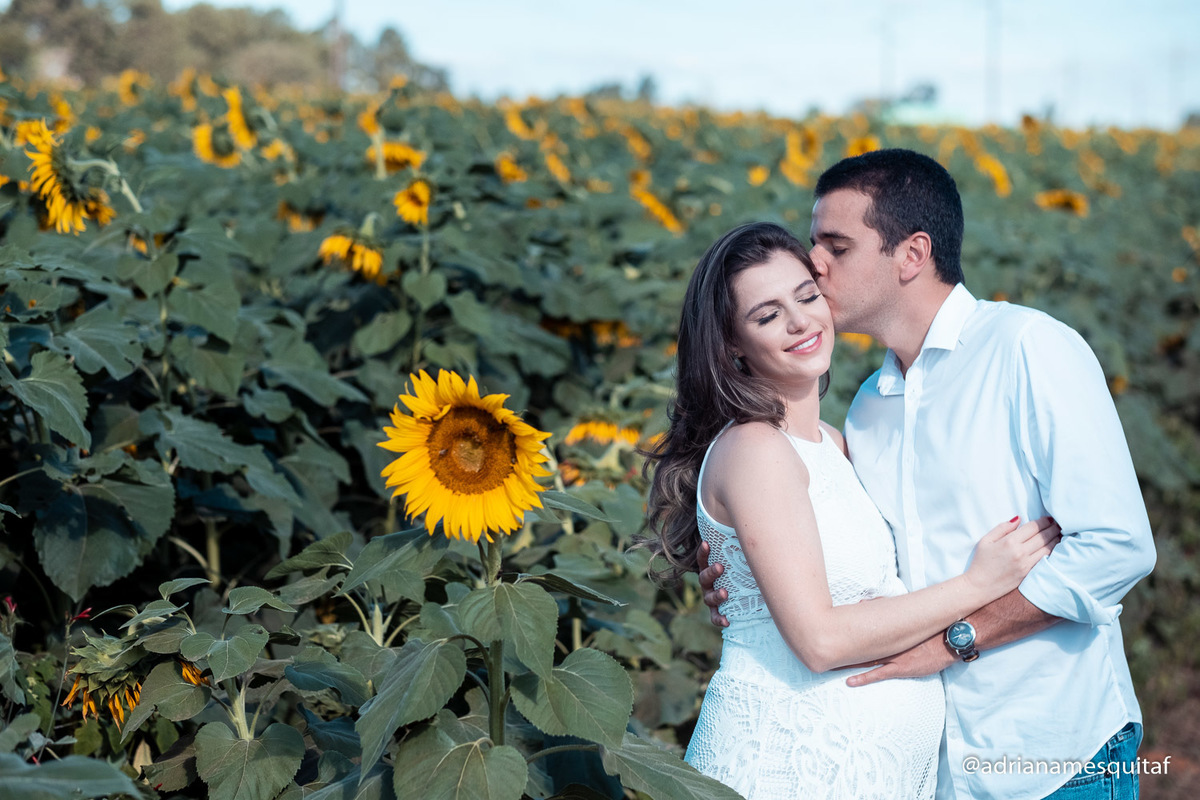 ensaio gestante nos girassóis uberlandia minas gerais externo