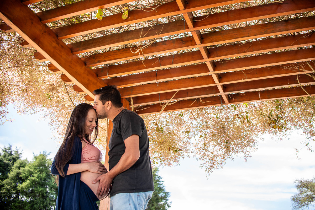 ensaio gestante externo