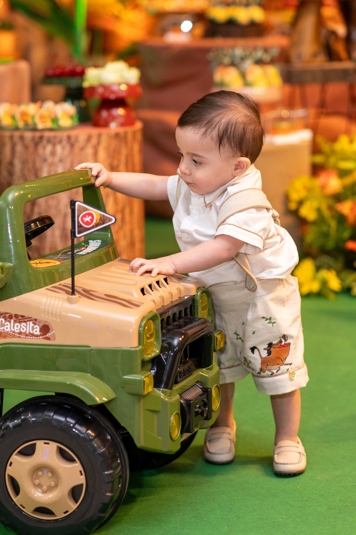 aniversário 1 ano rei leão