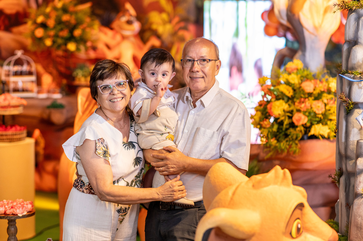 aniversário 1 ano rei leão