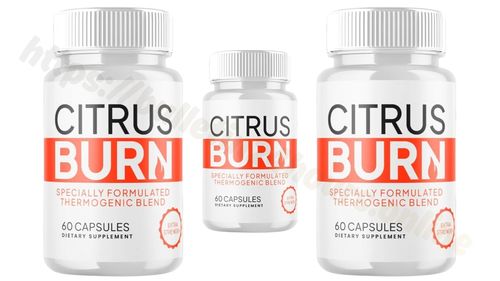 Logotipo de CitrusBurnIsrael