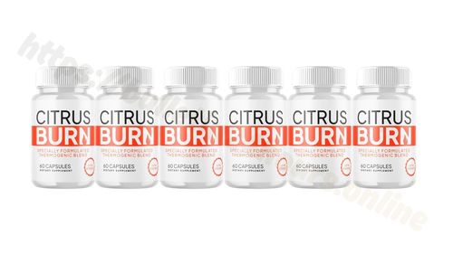 Logotipo de citrusburnil