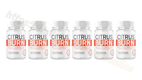 Logotipo de citrusburninil