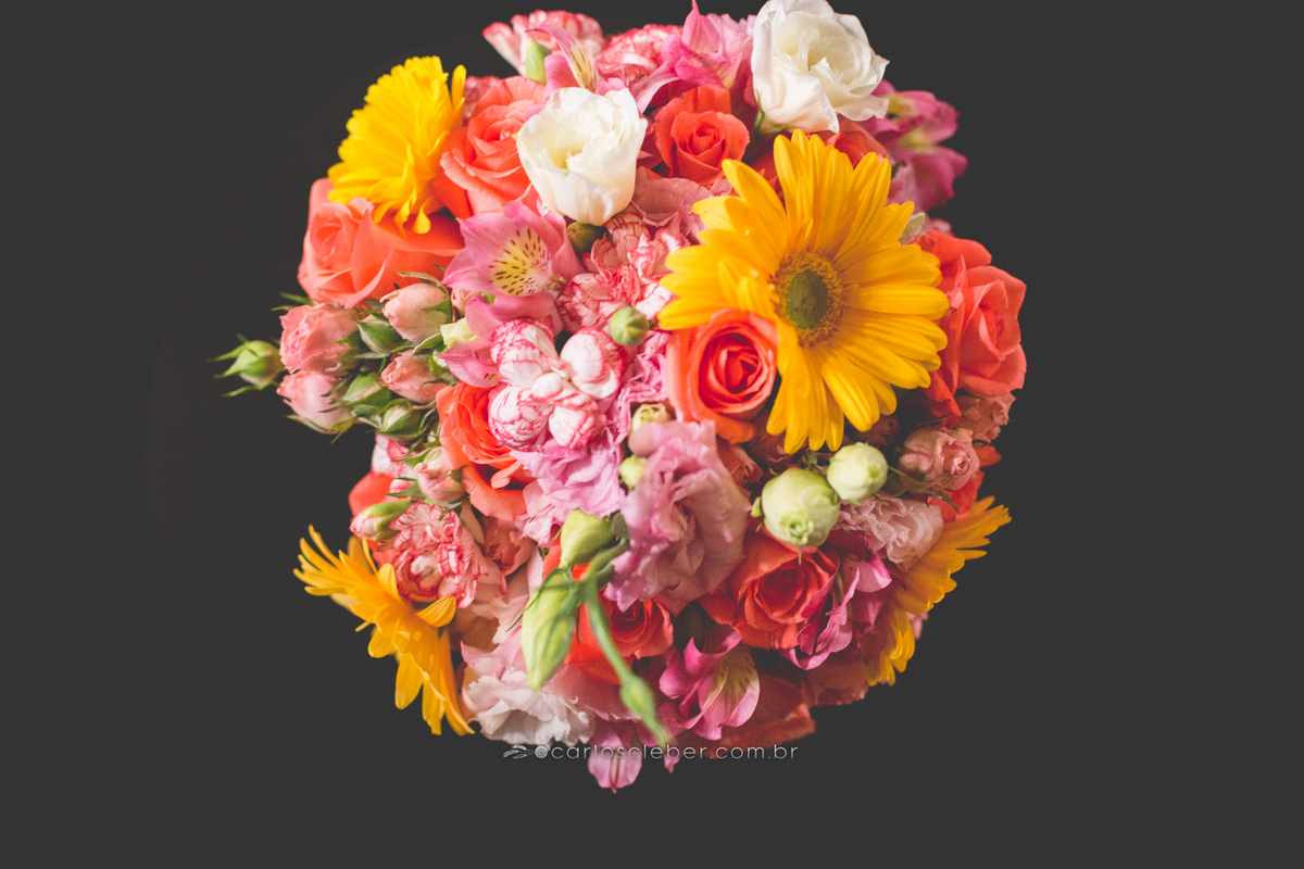 contato: 12988596888 
www.carloscleber.com.br 
contato@carloscleber.com.br
©Todos Os Direitos Reservados