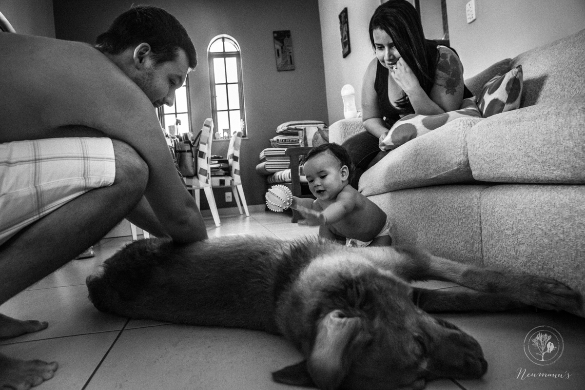 família na sala brincando com cachorro