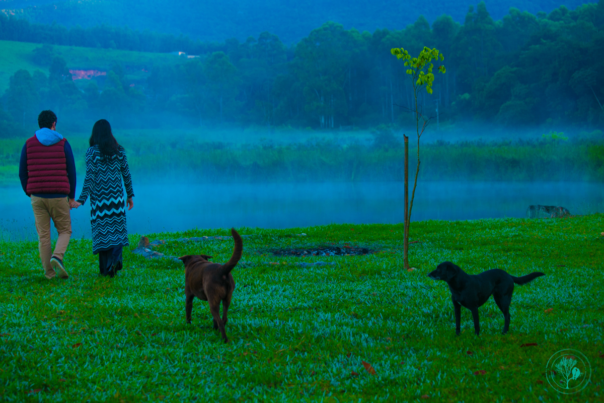 pre-wedding na fazenda em Joanópolis, espaço Orchestra do Silêncio, casal caminhando no amanhecer, foto neumanns