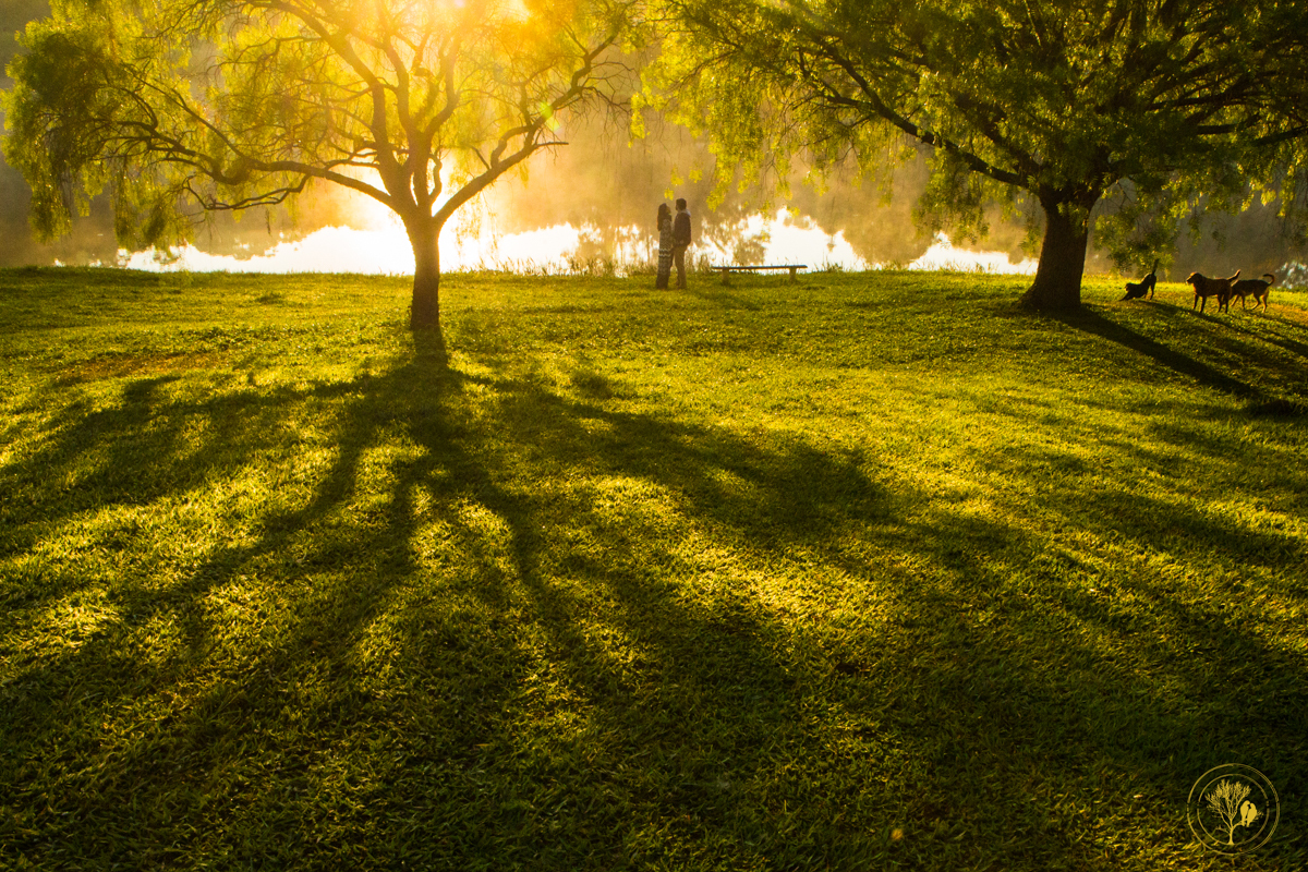 pre-wedding na fazenda em Joanópolis, espaço Orchestra do Silêncio, casal entre as árvores, foto neumanns
