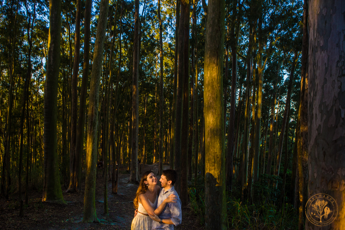 sessão pre wedding, casal abraçado próximo aos eucaliptos no Parque da Cidade em Niterói, foto neumanns