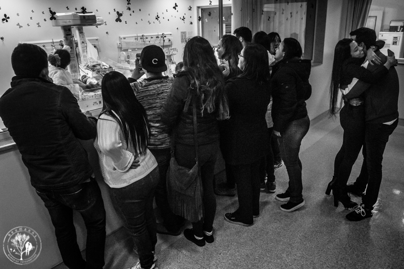 Familiares vendo bebê pela primeira vez no berçário do hospital Santa Teresa em petrópolis, foto Neumann's,fotografia de família, fotos de parto