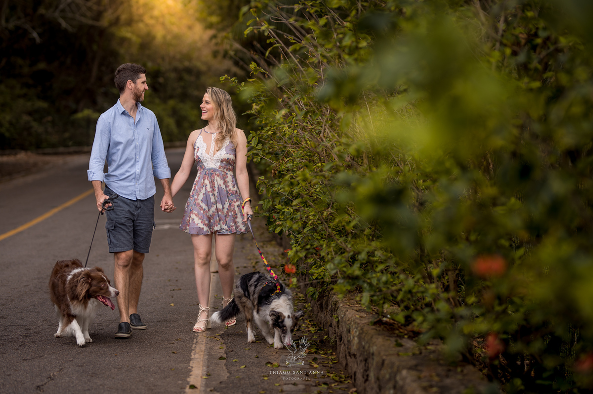 Ensaio pré wedding com pets ambiente externo paisagem estrada com vegetação 