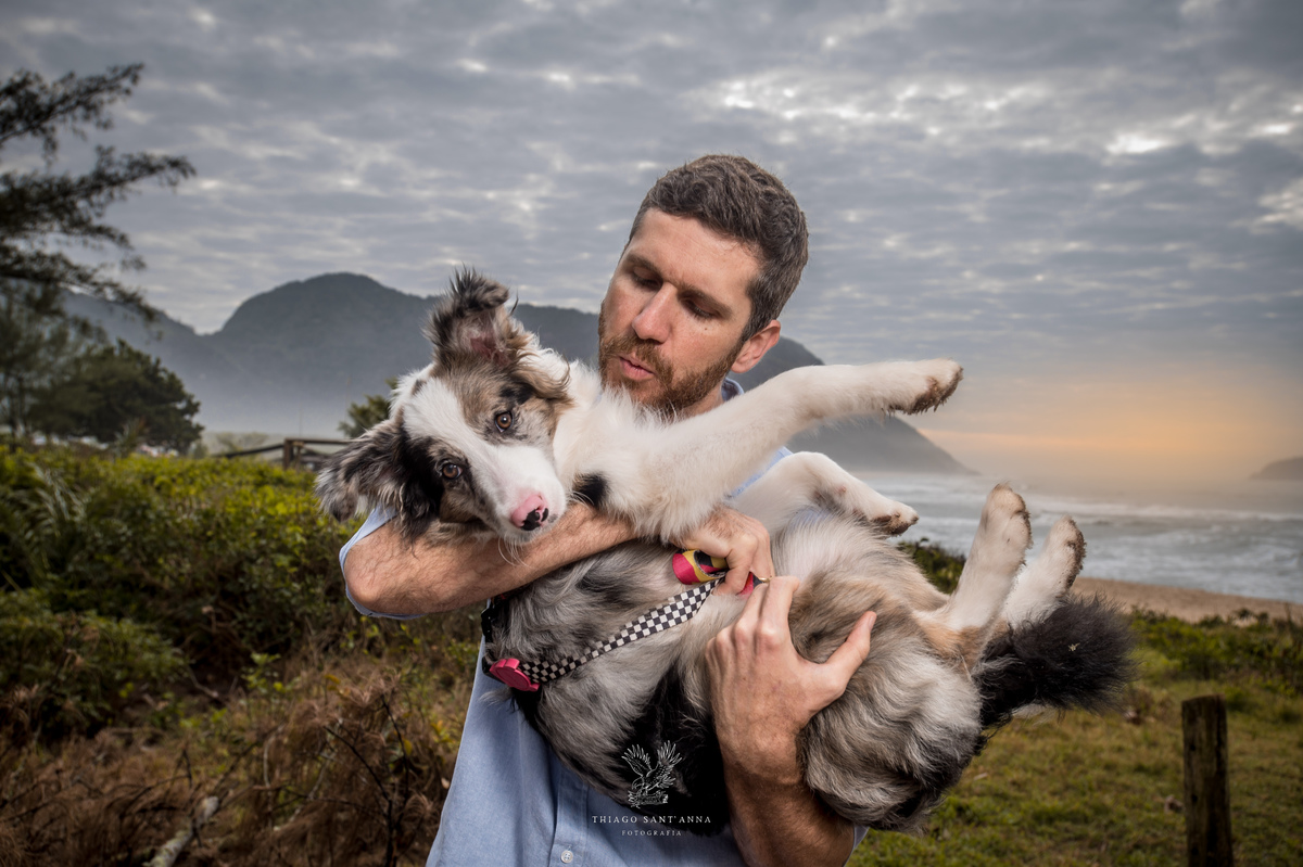 Ensaio pré wedding com pets ambiente externo paisagem praia vegetação 