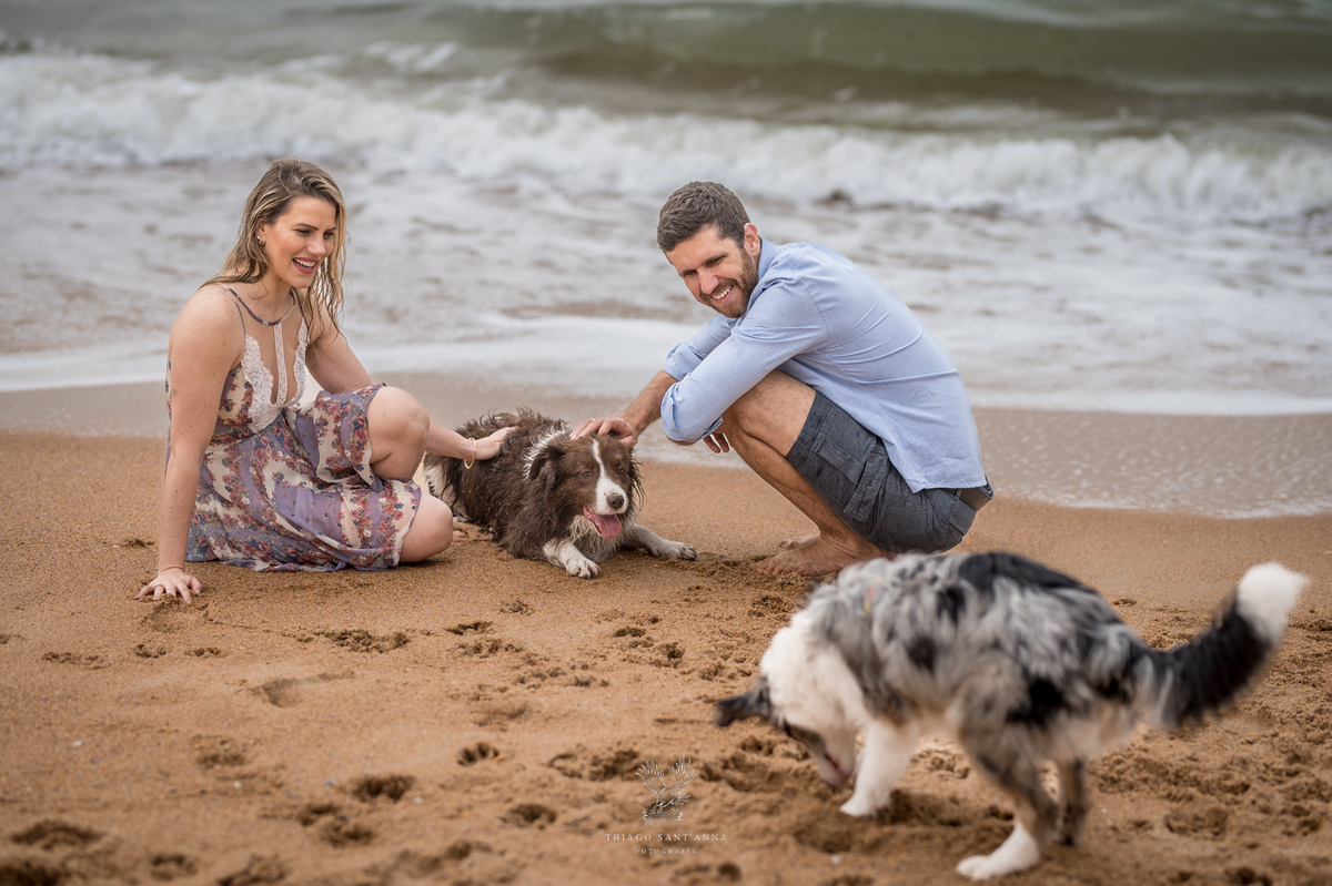 Ensaio pré wedding com pets ambiente externo paisagem praia 