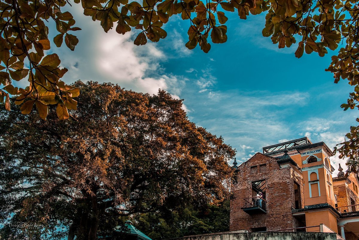 Ensaio casal parque das ruínas céu azul