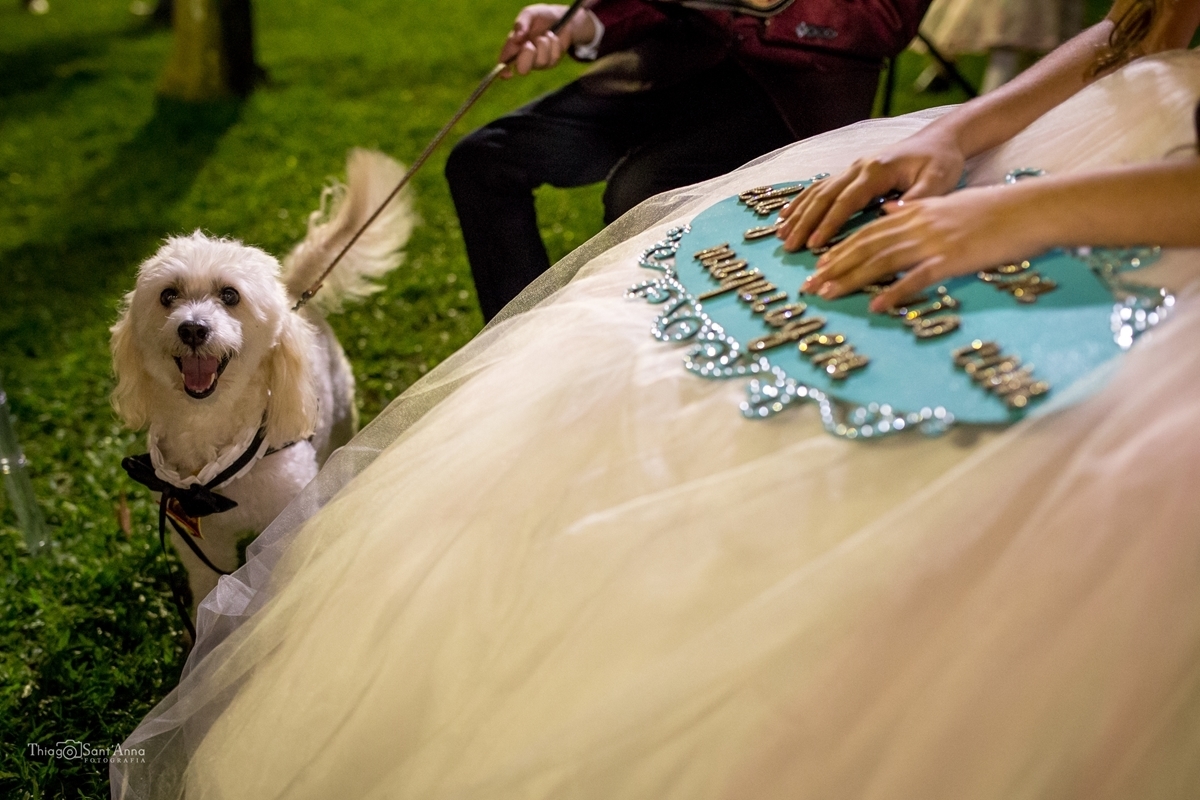 Pet no casamento