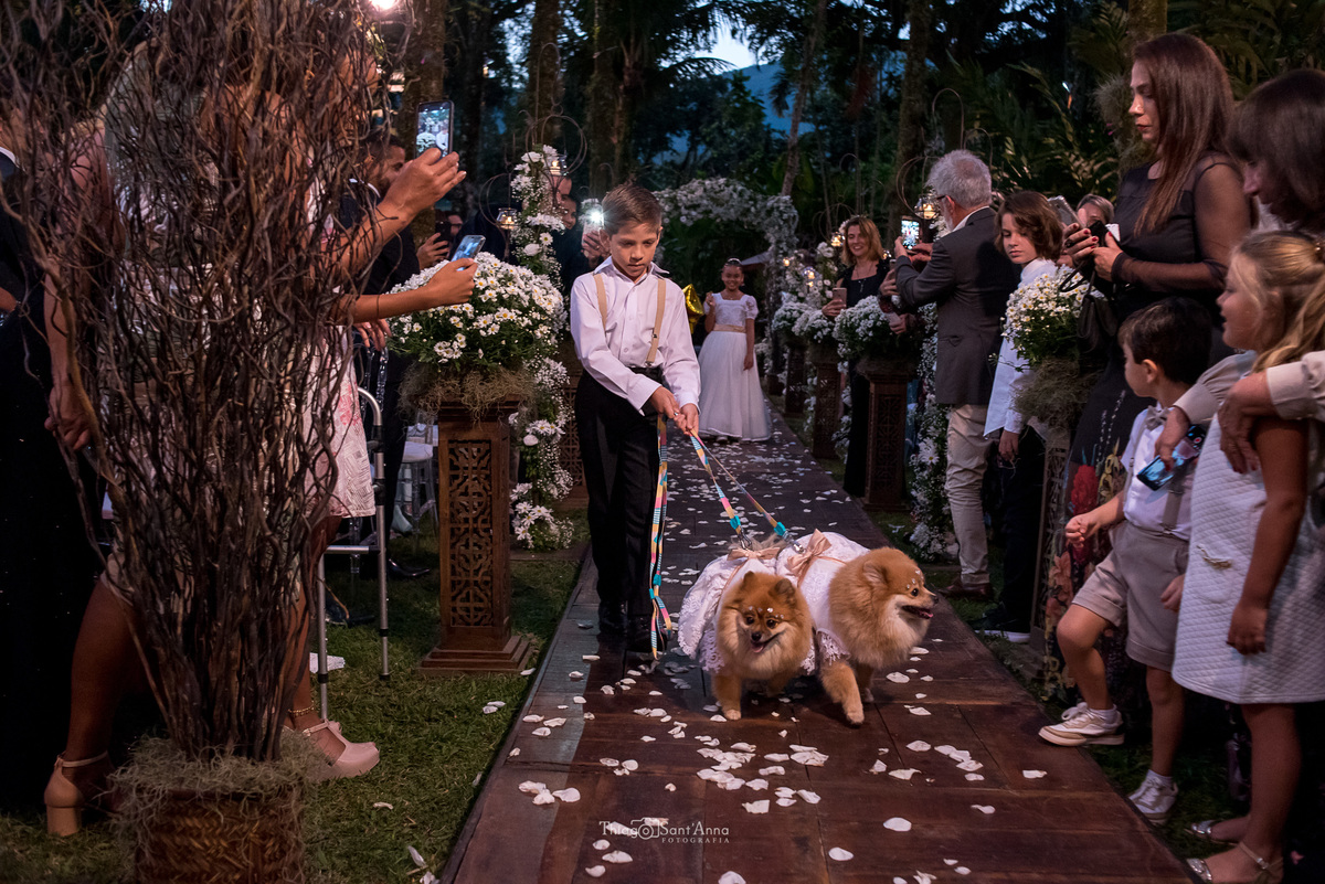 pajem leva pets dos noivos até o altar pétalas de rosas convidados observam