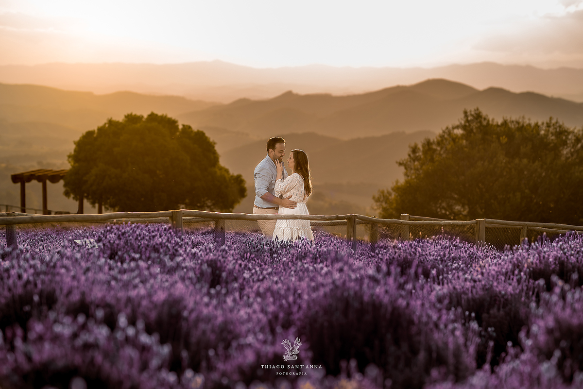 Ensaio pré wedding ambiente externo campo de lavanda