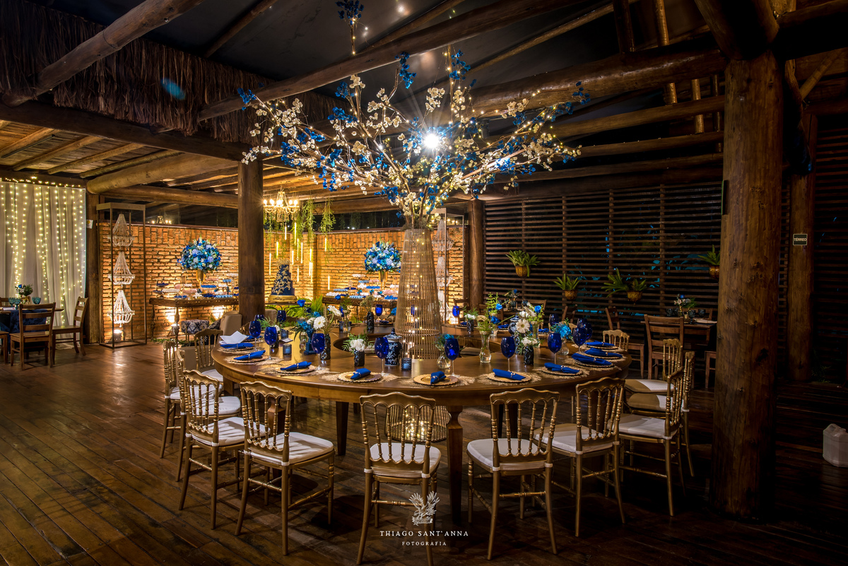 Festa aniversário debutante borboletas 