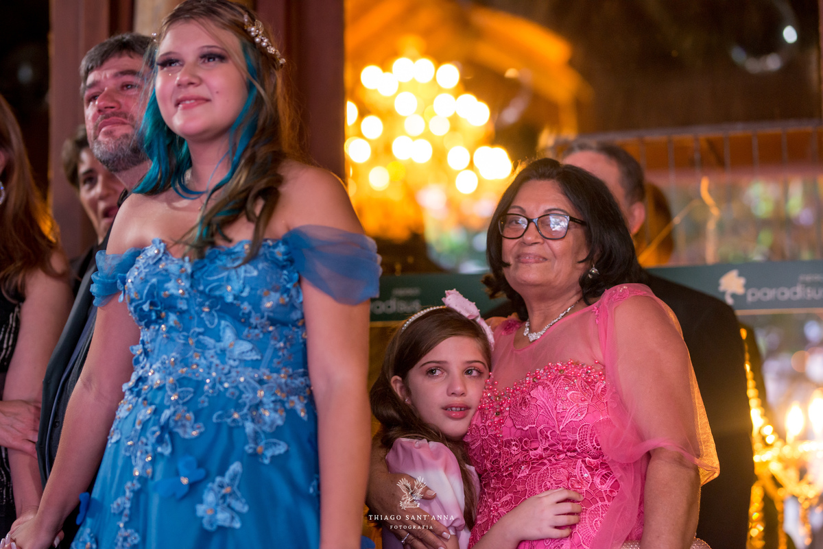 Festa aniversário debutante borboletas 