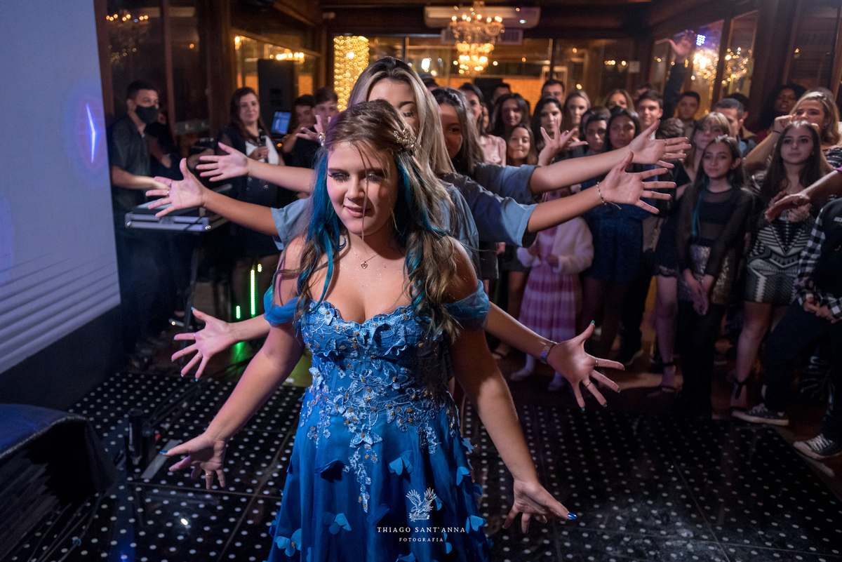 Festa aniversário debutante borboletas 