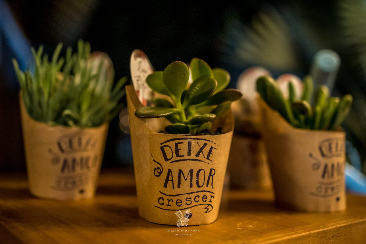 Decoração casamento rústico bem casados suculentas