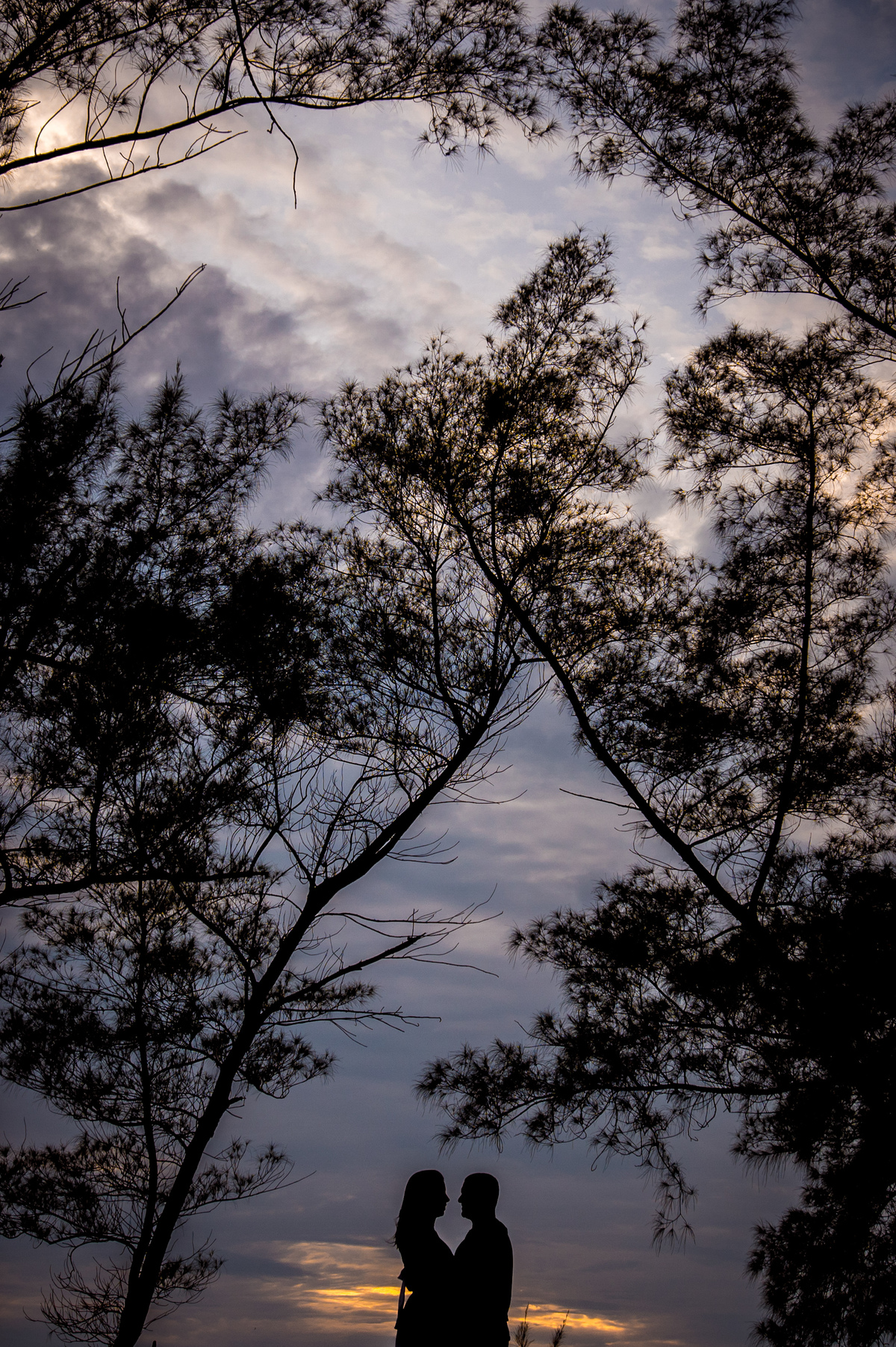 Ensaio pré wedding ambiente externo paisagem vegetal