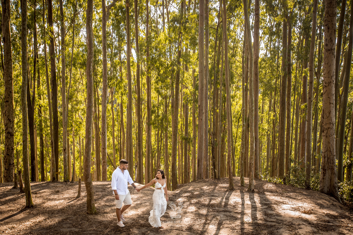 Ensaio pré wedding paisagem ambiente externo floresta eucaliptos