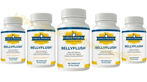 Logotipo de BellyFlushInIL