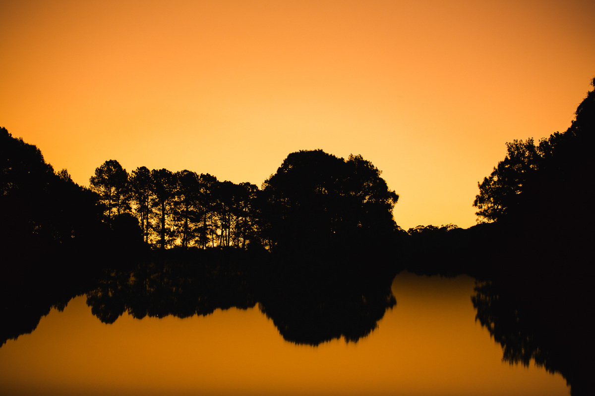 Pre wedding horto florestal são paulo, ensaio de casal, pre casamento, fotos de casal, Photolima Fotografia, fotografo de mogi das cruzes, fotografo de mairiporã, horto florestal
