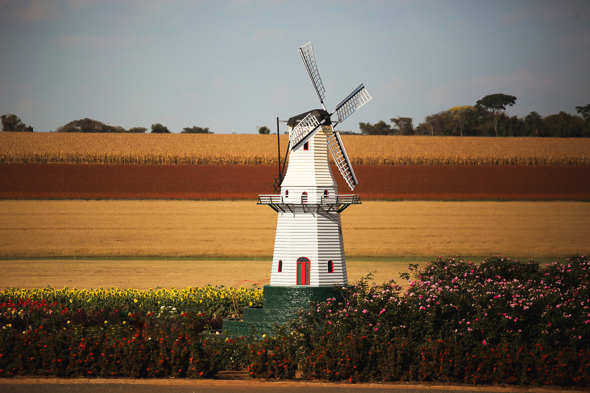 Photolima Fotografia, aniversário debutante, ensaio debutante, ensaio 15 anos, sessão de fotos holambra, ensaio 15 anos holambra, ensaio em holambra