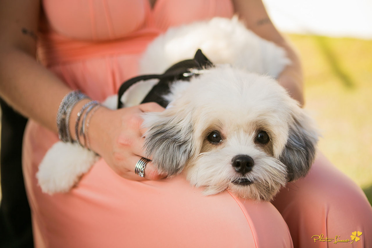 Photolima Fotografia de casamento, fotografos de casamento de mogi das cruzes, Rodrigo Bittencourt Fotografo, Sergio Lima Fotografo, sitio his eventos, sitio HIS, casamento em sao paulo, casamento incrivel, fotos lindas, fotos espontaneas, criativas