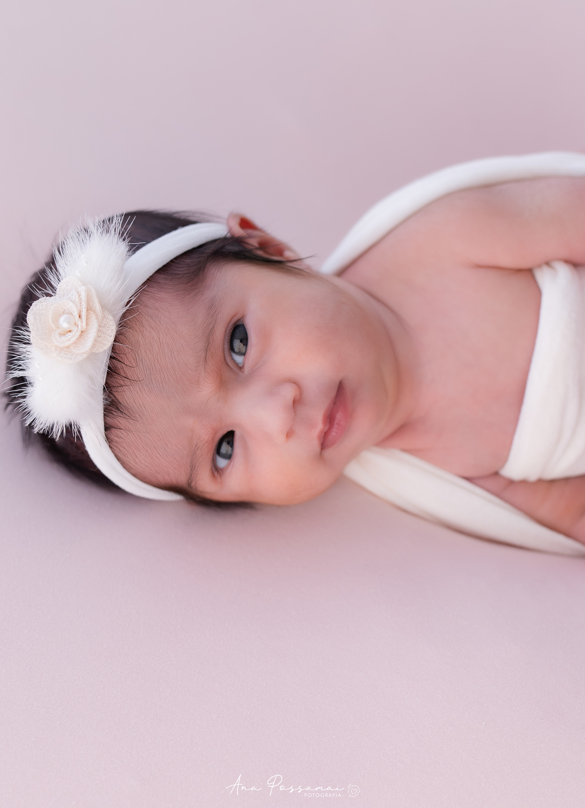 ensaio newborn recém nascida em bento gonçalves estúdio ana possamai fotografia