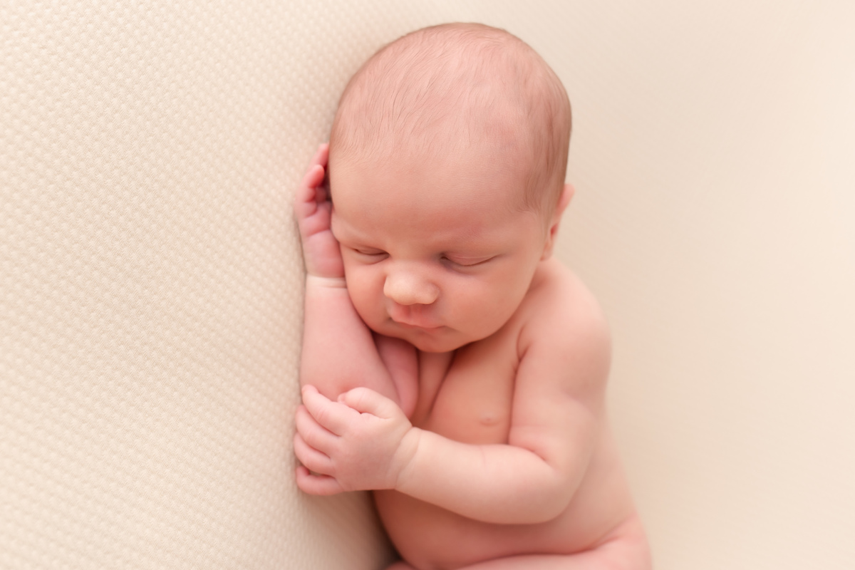 ensaio recém nascido newborn estúdio em bento gonçalves ana 