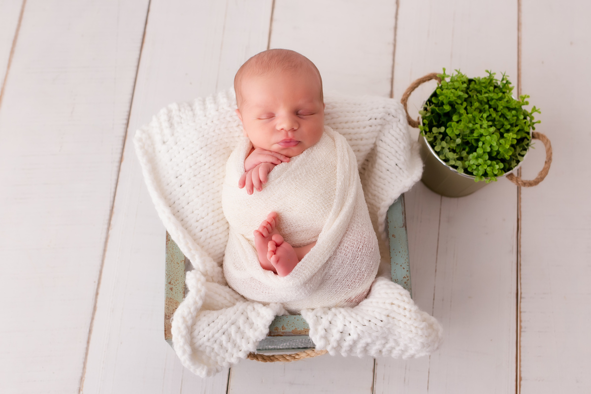 ensaio recém nascido newborn estúdio em bento gonçalves ana 