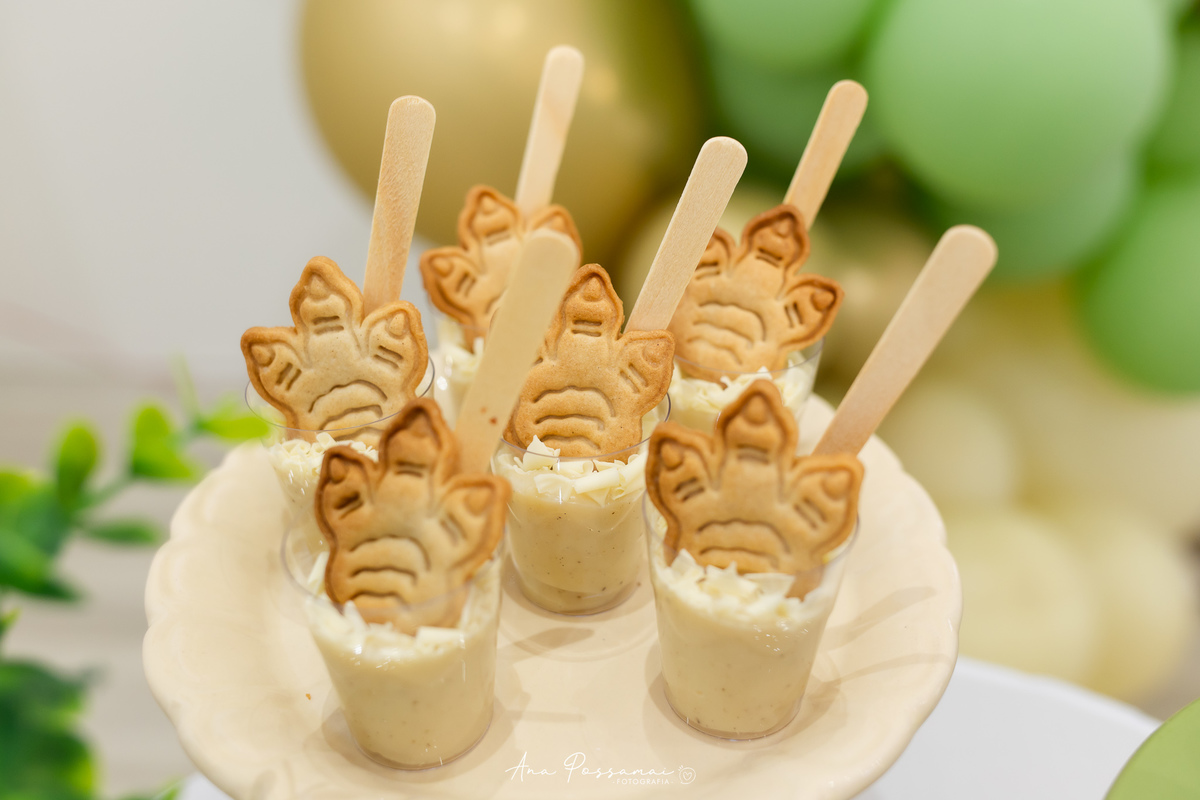 festa de aniversário infantil de 1 ano em bento gonçalves por ana possamai fotografia 