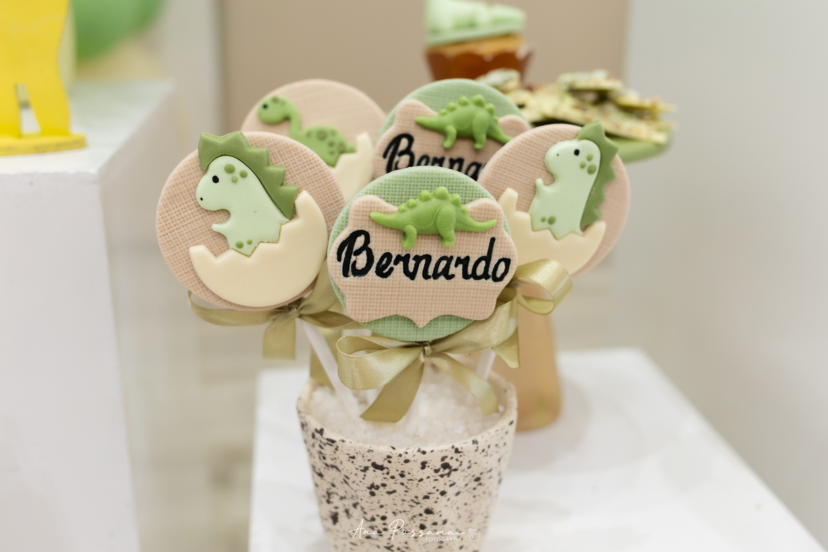 festa de aniversário infantil de 1 ano em bento gonçalves por ana possamai fotografia 