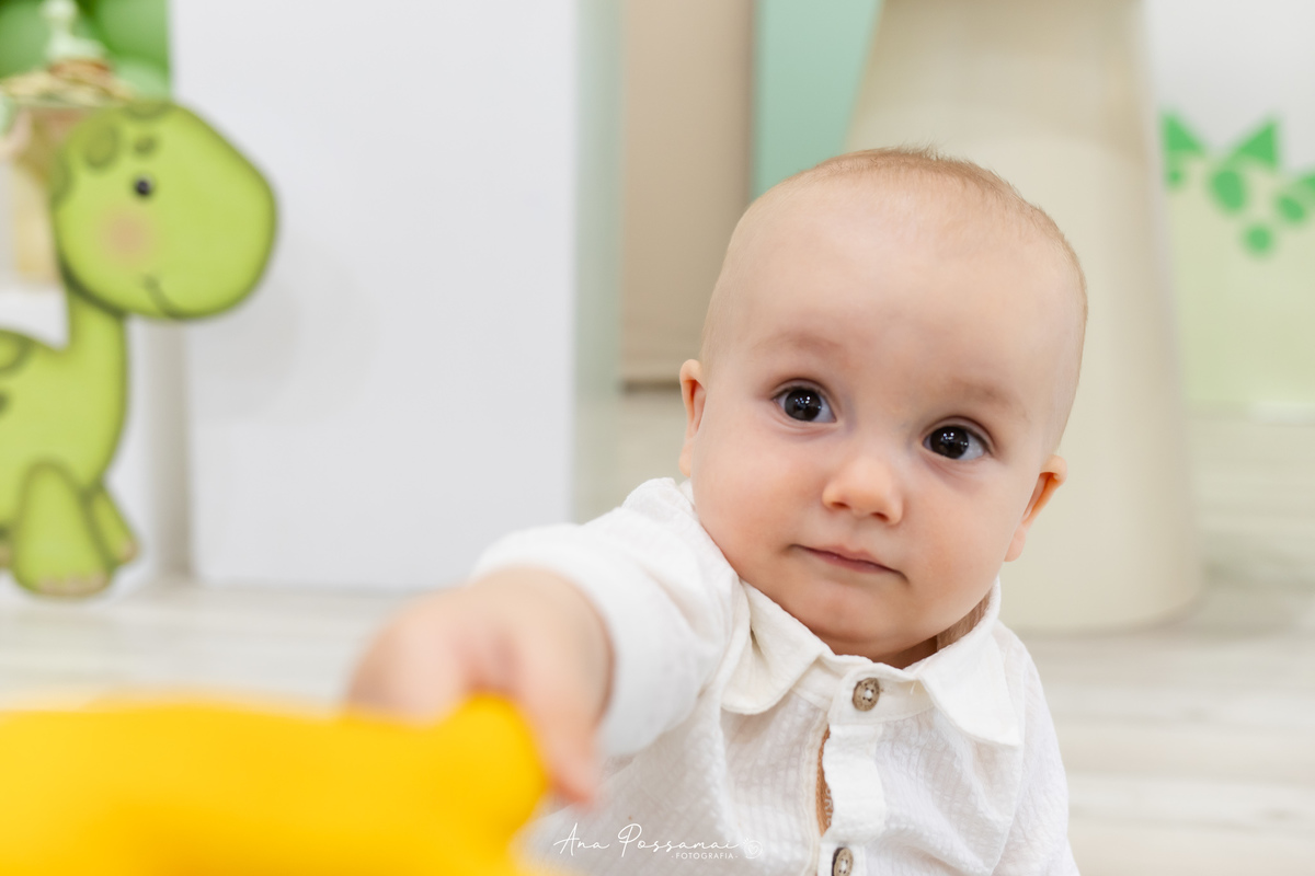 festa de aniversário infantil de 1 ano em bento gonçalves por ana possamai fotografia 