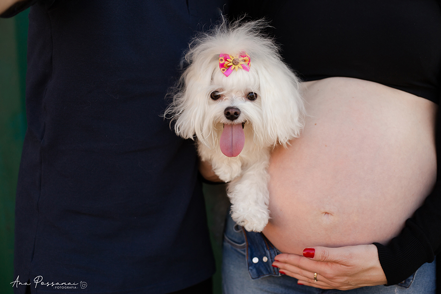 ensaio gestante em bento gonçalves villa michelon ana possamai fotografia com pet