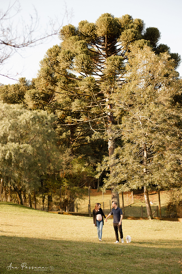 ensaio gestante em bento gonçalves villa michelon ana possamai fotografia com pet