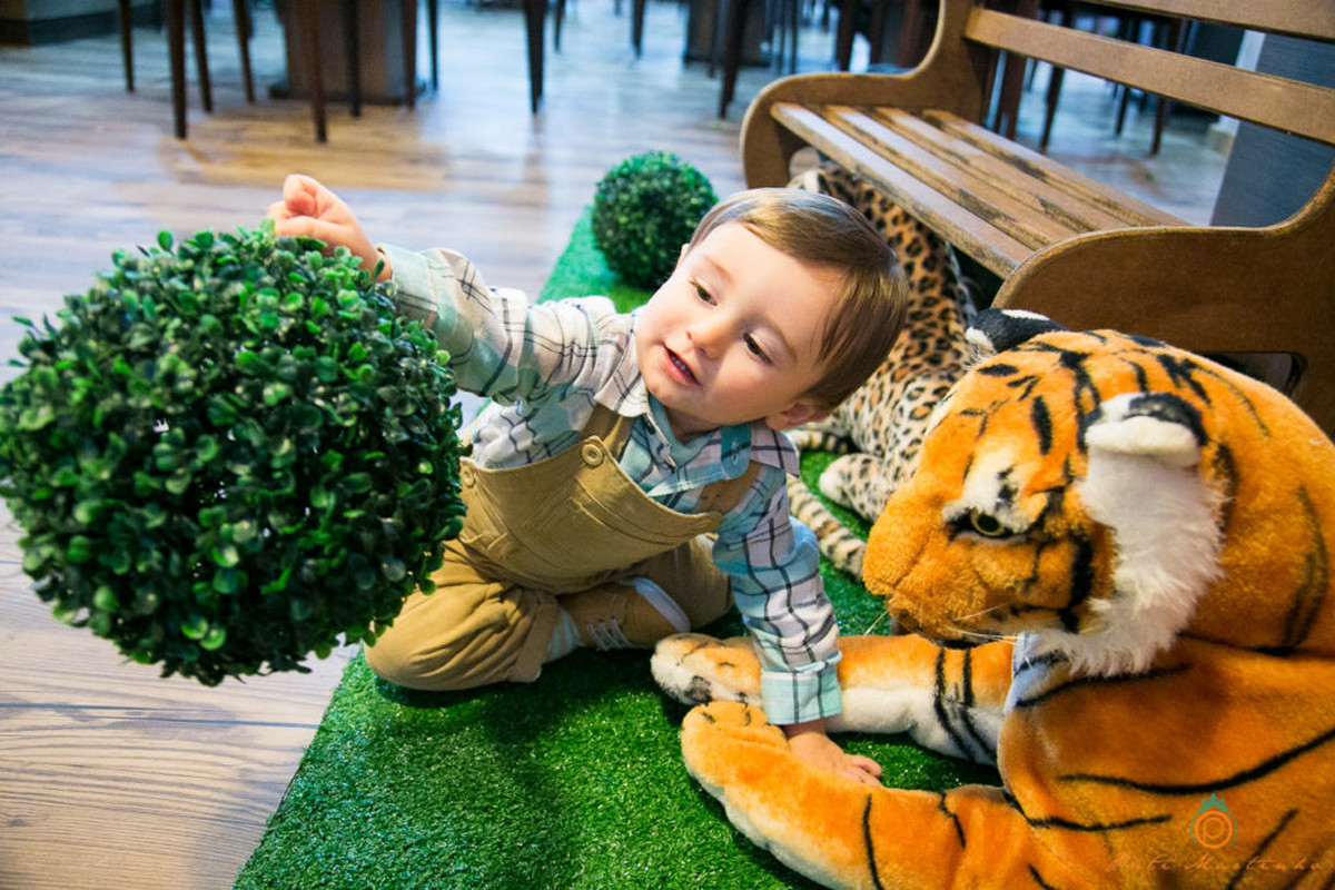 Aniversario de 01 ano do augusto, Fotos de aniversario infantil em curitiba