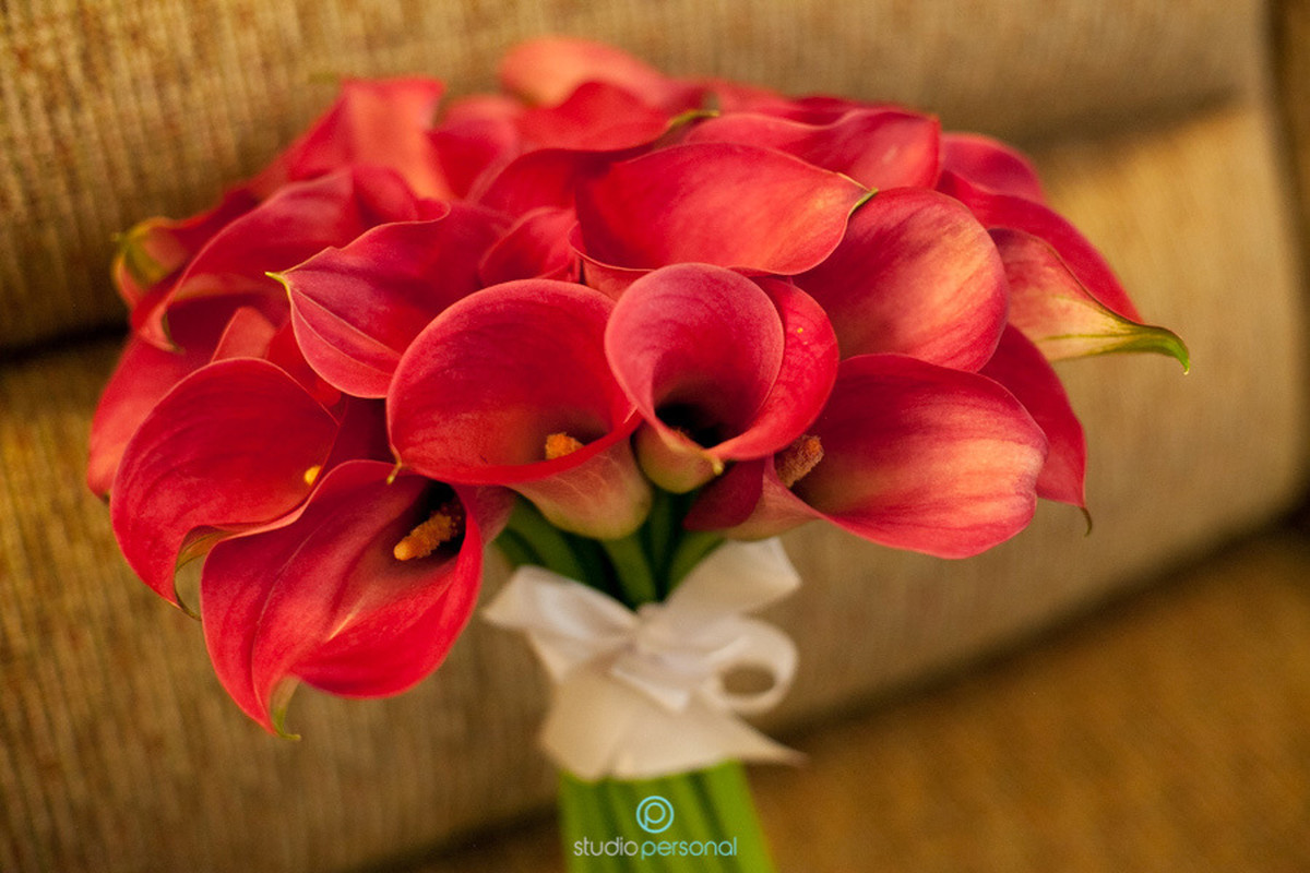 fotografo de casamento em curitiba, jockey, buffet beloni, fabiany prado e ricardo, studio personal fotografias, fascinio cerimonial, lucelia caldatto, silvia frandsen noiva linda, noiva barbie