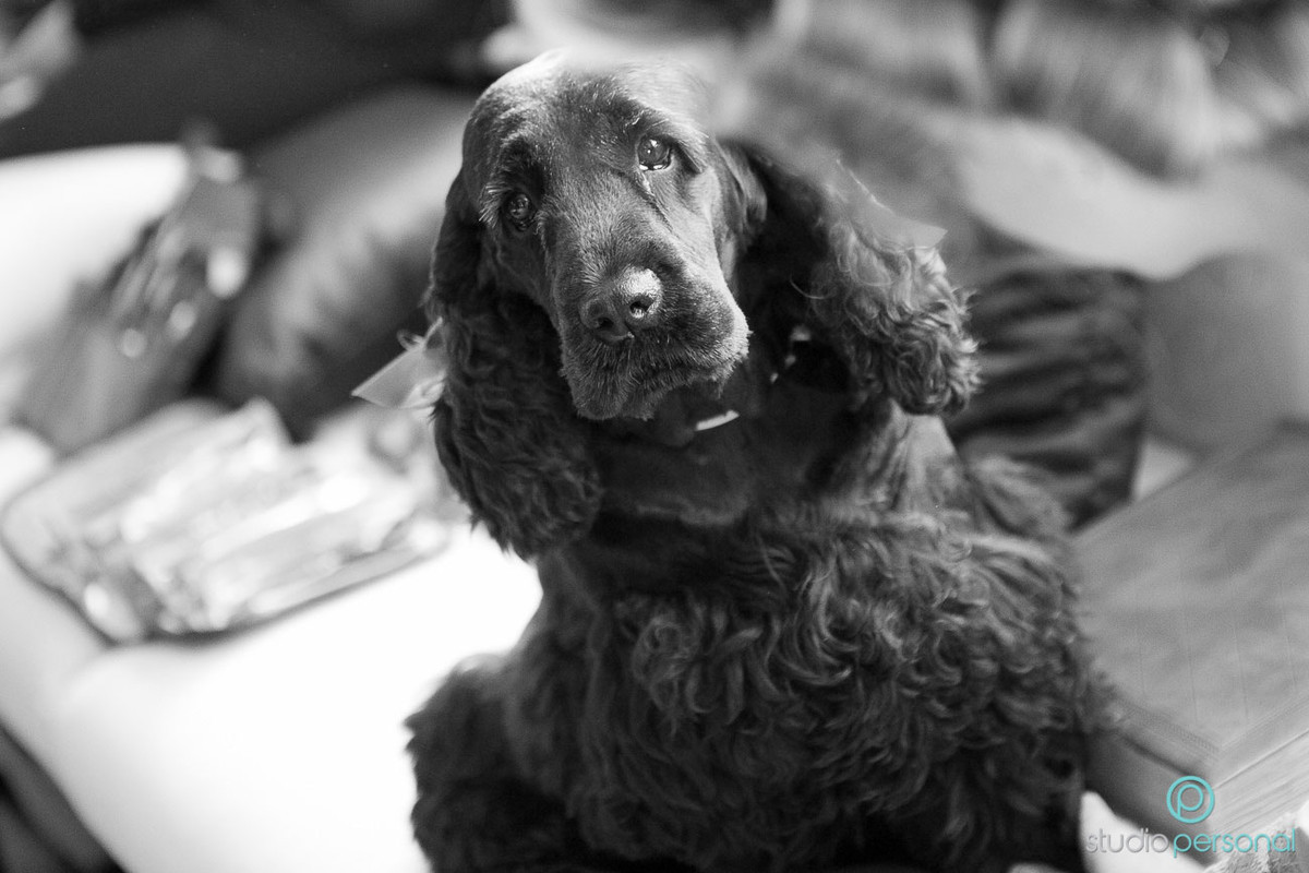 Casamento Carol e Tiago – Curitiba – PR